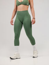 Hue Seamless Leggings - Neverover Activewear