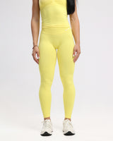 Hue Seamless Leggings - Neverover Activewear