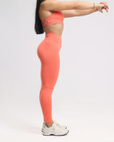 Hue Seamless Leggings - Neverover Activewear